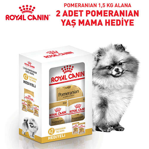Royal Canin BOX Pomeranian Köpek Maması