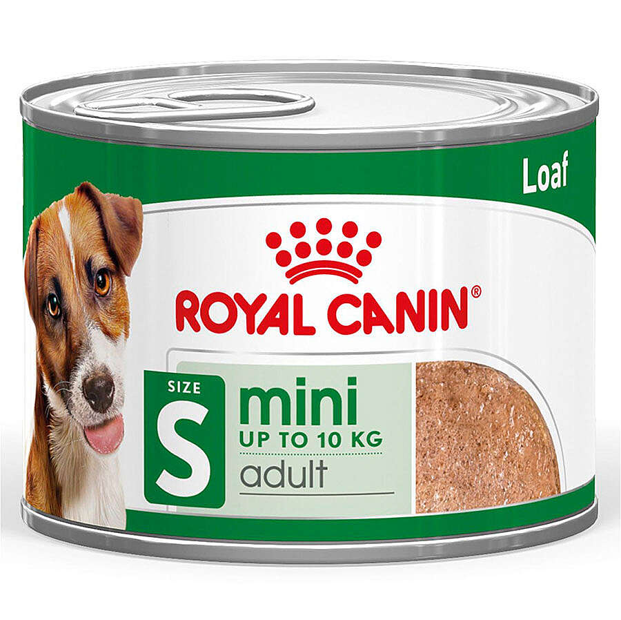 Royal Canin Mini Adult Küçük Irk Köpek Konservesi