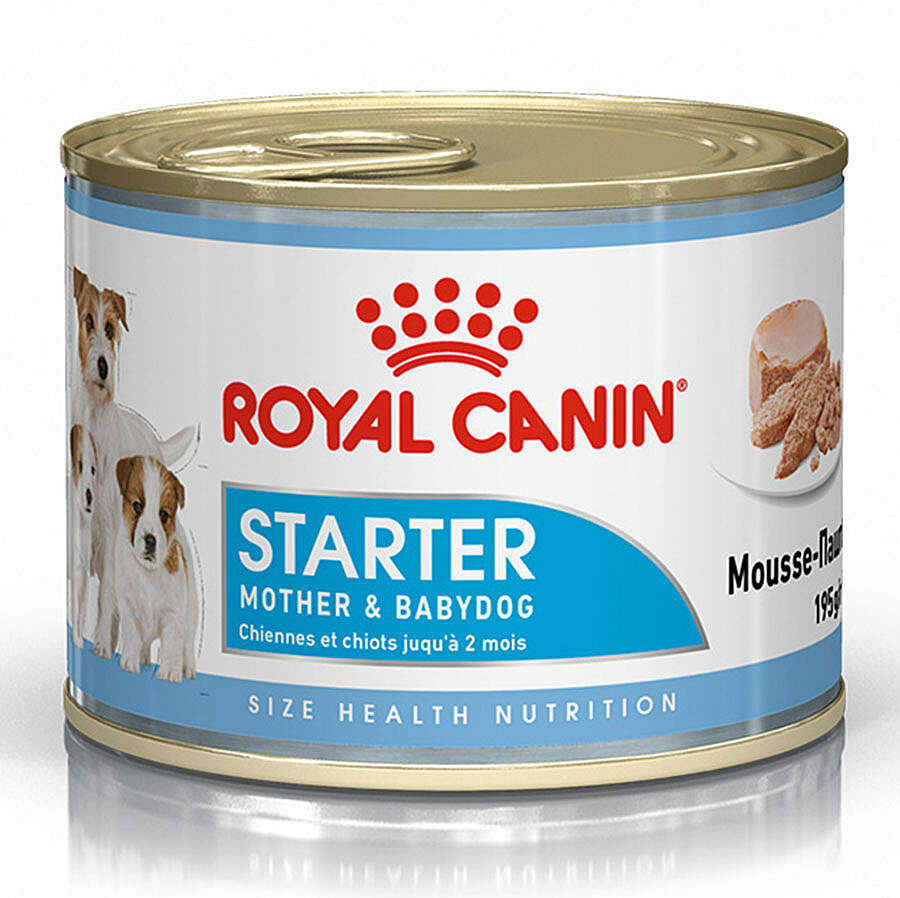 Royal Canin Starter Mousse Anne ve Yavruları İçin Köpek Konservesi